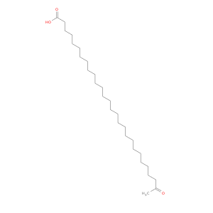 144796-91-8