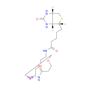1381861-94-4